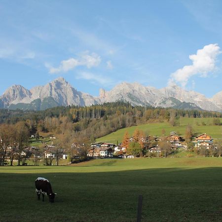 Haus St. Georg Daire Maria Alm am Steinernen Meer Dış mekan fotoğraf