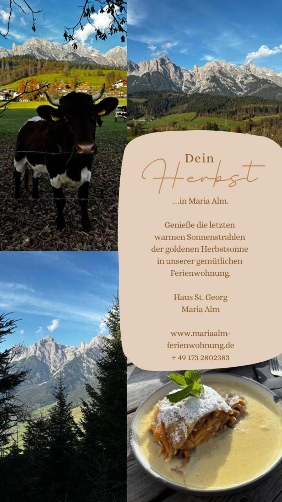 Haus St. Georg Daire Maria Alm am Steinernen Meer Dış mekan fotoğraf