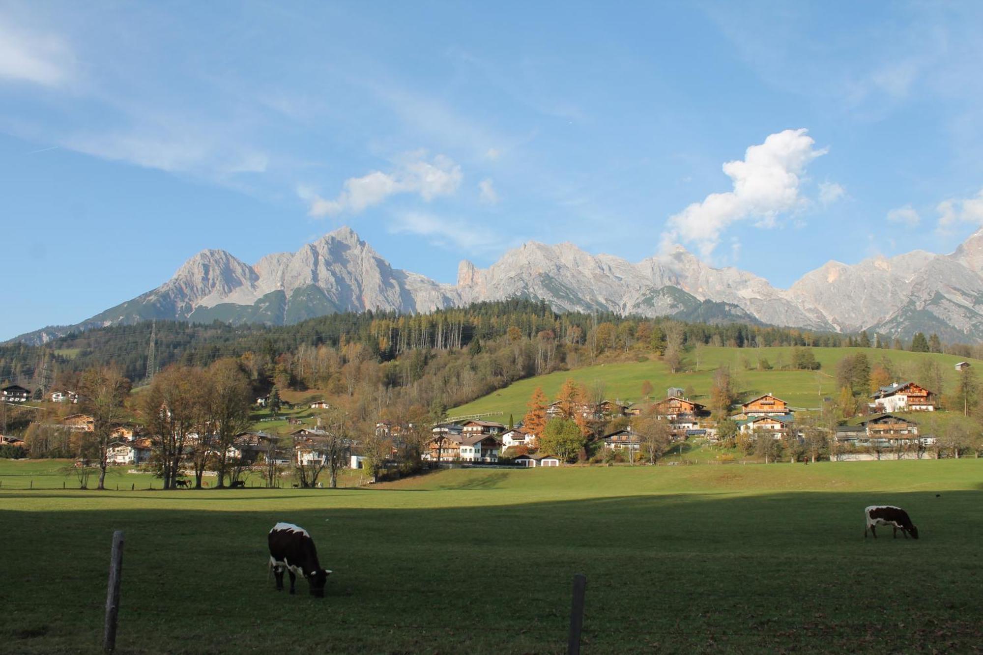 Haus St. Georg Daire Maria Alm am Steinernen Meer Dış mekan fotoğraf
